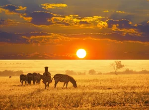 Etosha-National-Park-Namibia