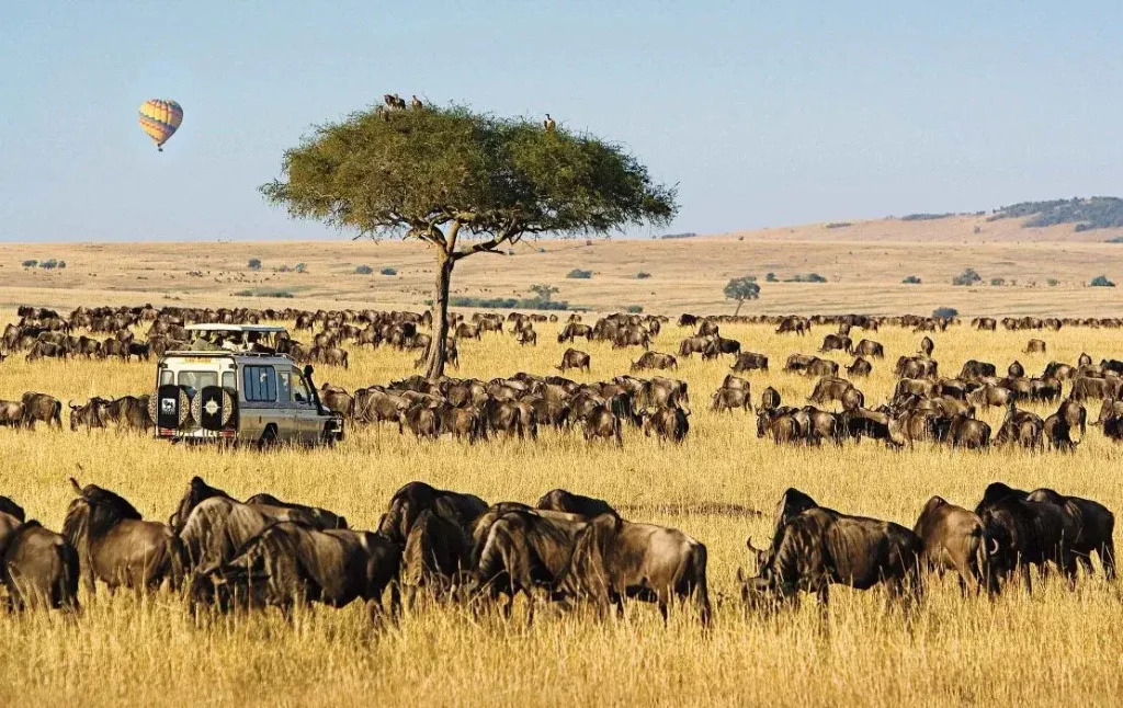 best safari spot in africa