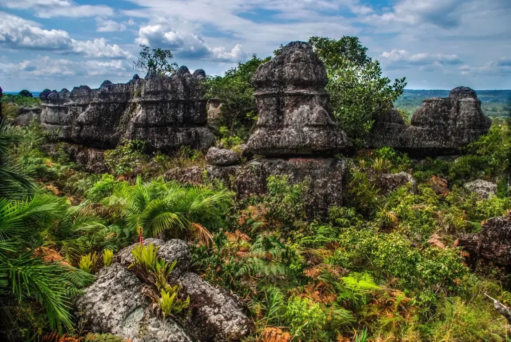 The Lost City in Colombia