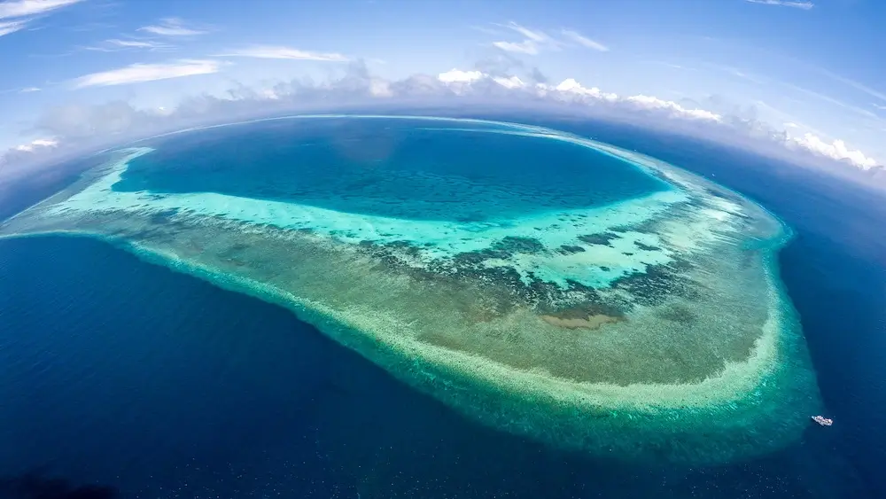 Tubbataha Reef, Palawan